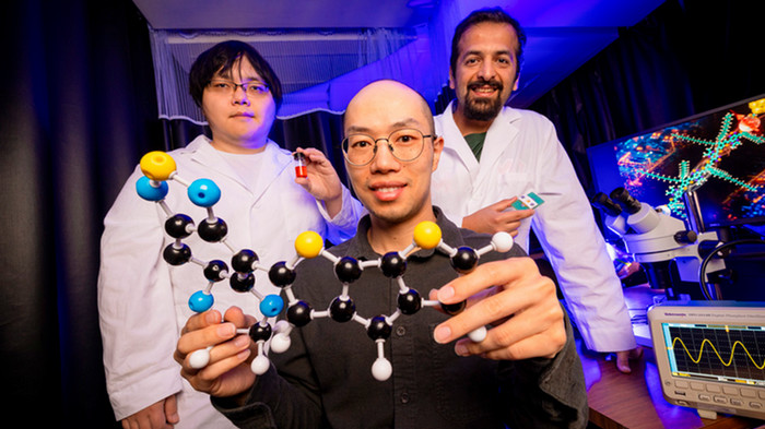 From left: Shen, Wang and Shiri with their molecule and a chemical model of it. Photos by Joshua Prezant/University of Miami.